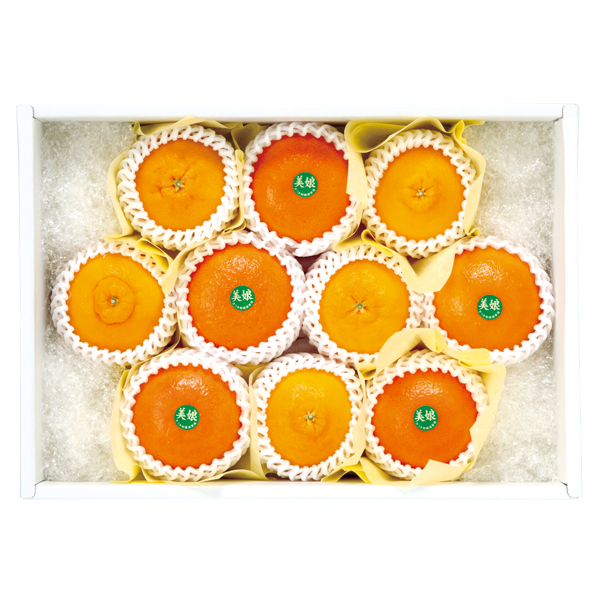 ct[c 啪Y fR|y͂ԁF11{`z